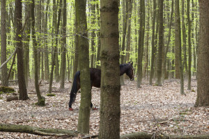 merle-hettesheimer-umschulung-fotograf-berufsbegleitend-koeln-05