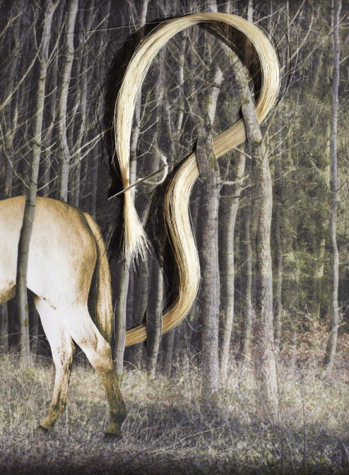 fotograf-ausbildung-umschulung-fotografie-studium-hettesheimer03