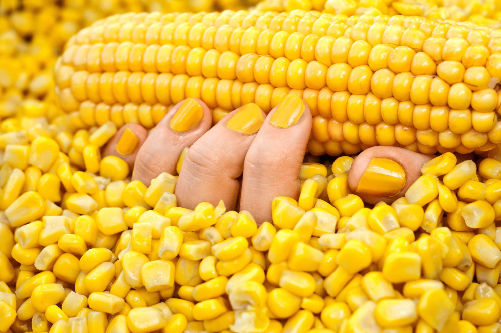 michaela-groennebaum-fotograf-ausbildung-berufsbegleitend-studium-fotografie-23