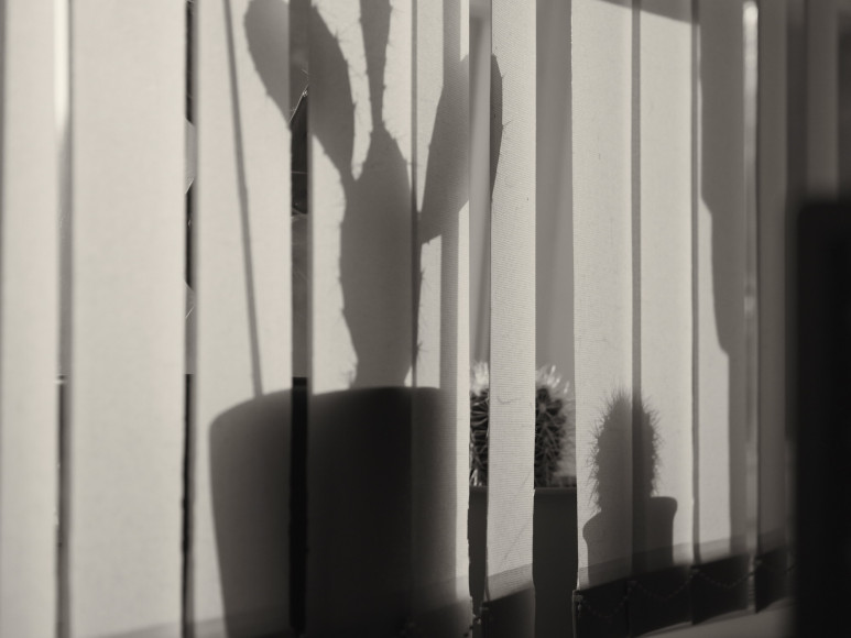 fotograf-ausbildung-umschulung-fotografie-studium-thorsten100