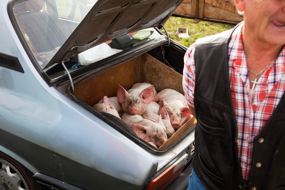 fotograf-ausbildung-umschulung-fotografie-studium-frohneberg06