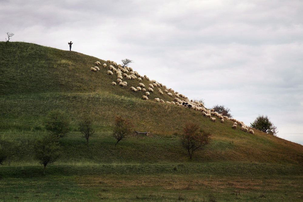 fotograf-ausbildung-umschulung-fotografie-studium-frohneberg09