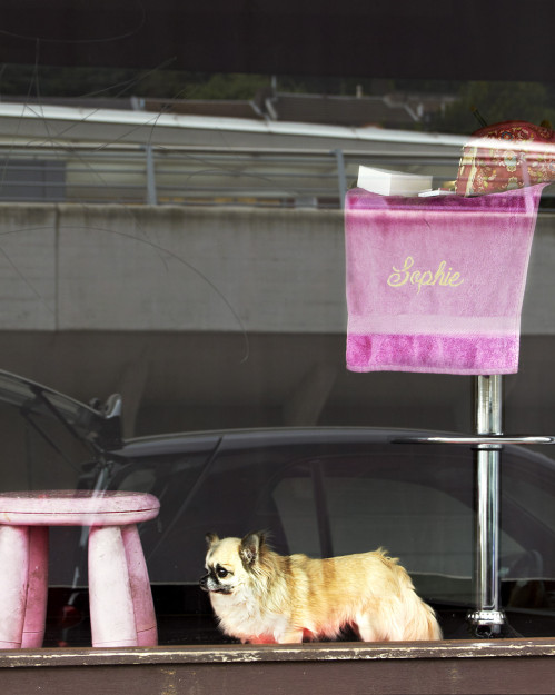 fotografie-studium-absolvent-rita-heinz-fotograf-ausbildung-info-11