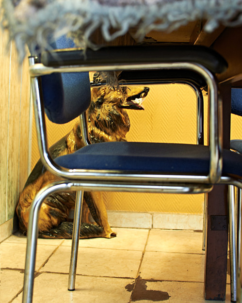 fotografie-studium-absolvent-rita-heinz-fotograf-ausbildung-info-02