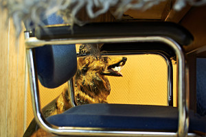 fotografie-studium-absolvent-rita-heinz-fotograf-ausbildung-info-01