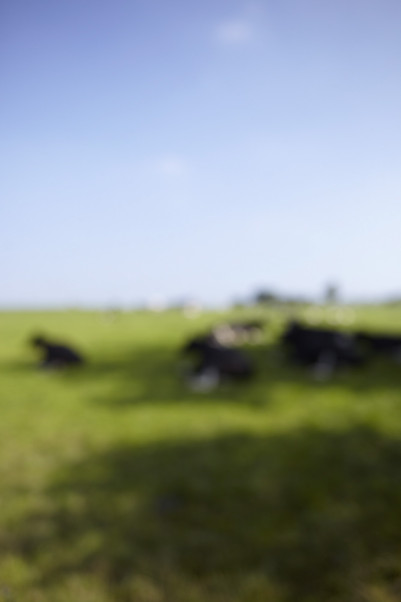 ausbildung-fotograf-studium-fotografie-andreas-horsky-architektur-13