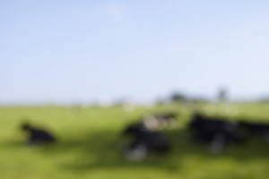 andreas-horsky-banner02