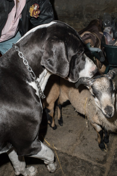 info-fotografie-studium-koeln-klaus-dyba-erfahrungen-ausbildung-fotograf-34