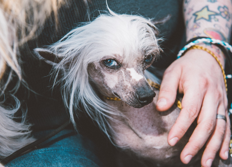 info-fotografie-studium-koeln-klaus-dyba-erfahrungen-ausbildung-fotograf-32