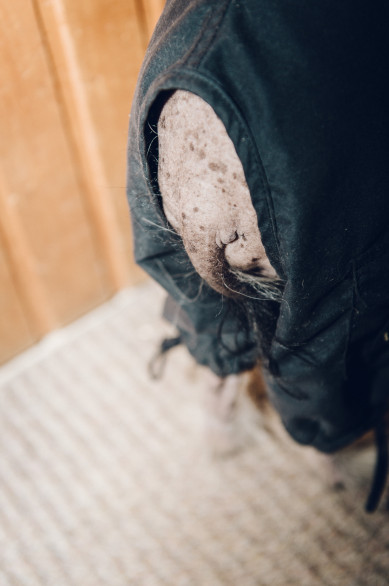 info-fotografie-studium-koeln-klaus-dyba-erfahrungen-ausbildung-fotograf-027