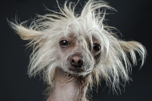 info-fotografie-studium-koeln-klaus-dyba-erfahrungen-ausbildung-fotograf-02