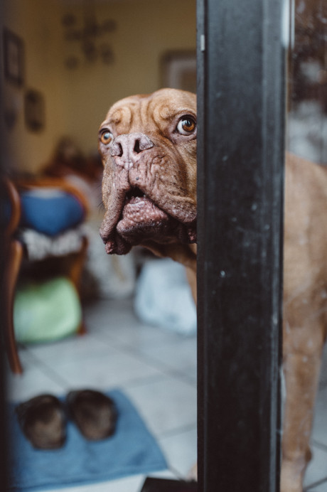 info-fotografie-studium-koeln-klaus-dyba-erfahrungen-ausbildung-fotograf-025