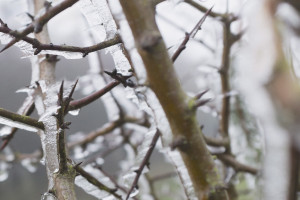 ausbildung-fotograf-studium-nrw-koeln-kuenstlerisch-07