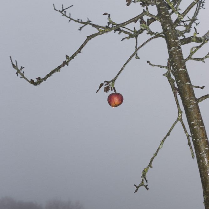 ausbildung-fotograf-studium-nrw-koeln-kuenstlerisch-11
