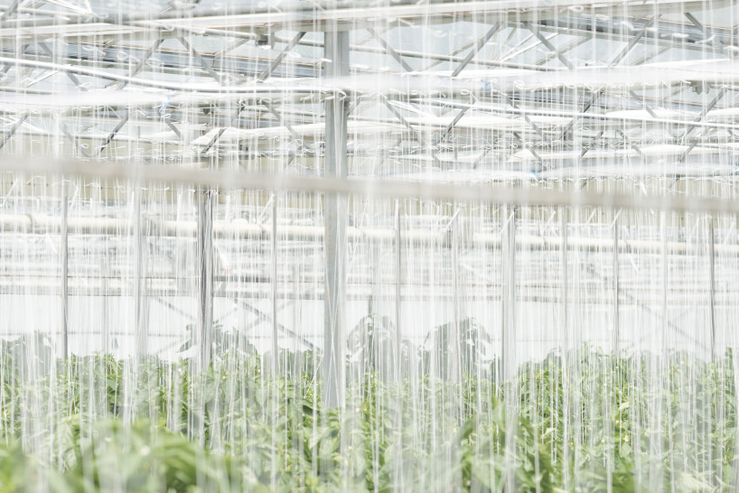 fotografie-studium-nrw-ausbildung-fotograf-koeln-christof-jakob-cord04