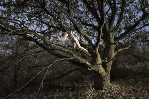 jenny-ahrbanner-fotograf-ausbildung-studium-fotografie-nrw-001