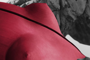 alexandra-klapperich-fotograf-ausbildung-berufsbegleitend-06