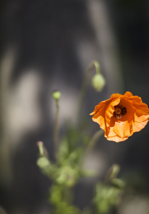 fotograf-ausbildung-studium-fotografie-03