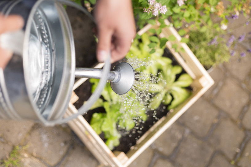 bewerbung-fotograf-ausbildung-koeln-studium-fotografie-11
