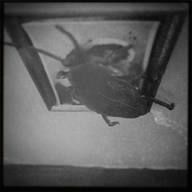 bewerbung-fotograf-ausbildung-koeln-studium-fotografie-16