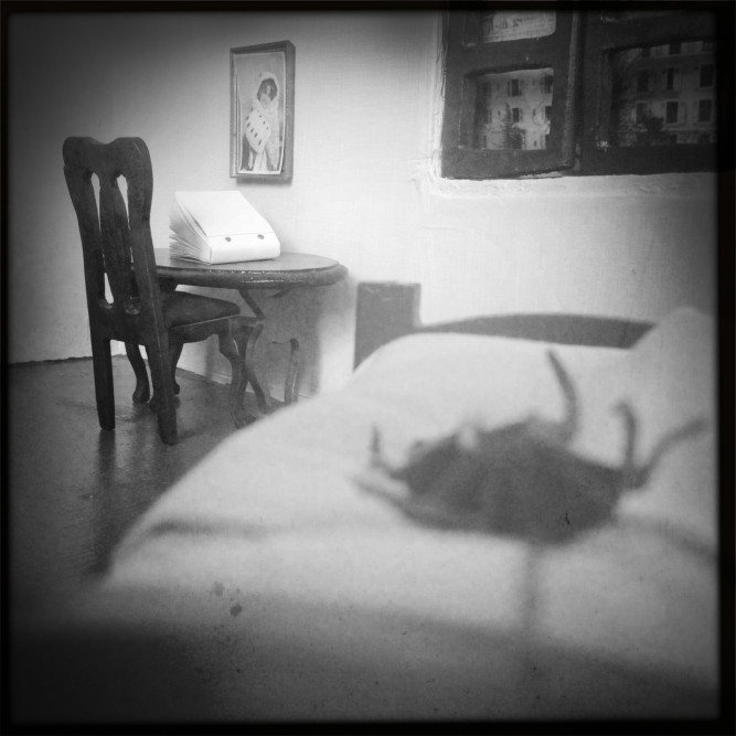 bewerbung-fotograf-ausbildung-koeln-studium-fotografie-15