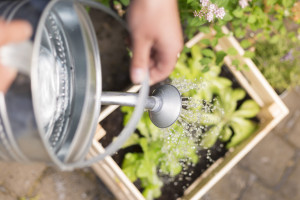 mirene-schmitz-fotograf-koeln-studium-fotografie-02