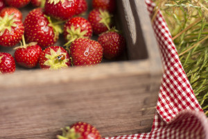 mirene-schmitz-fotograf-koeln-studium-fotografie-06