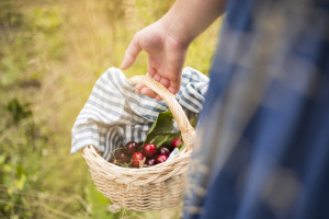 mirene-schmitz-fotograf-koeln-studium-fotografie-04