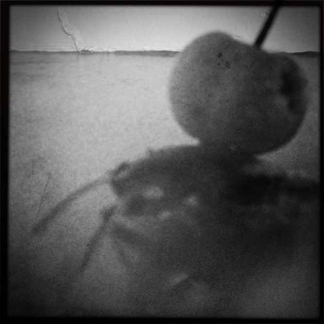 bewerbung-fotograf-ausbildung-koeln-studium-fotografie-19