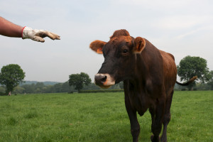 a-chantal-vonhof-banner02