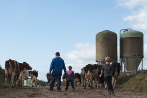 a-chantal-vonhof-banner07