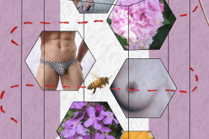 a-chantal-vonhof-banner06