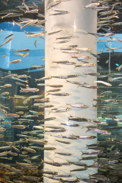 frank-kottisch-ausbildung-fotograf-55