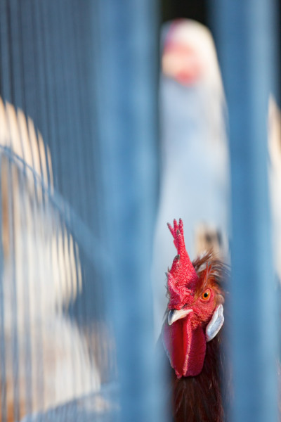 frank-kottisch-ausbildung-fotograf-32