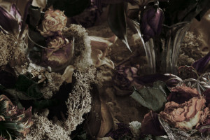 banner-tina-bibra02