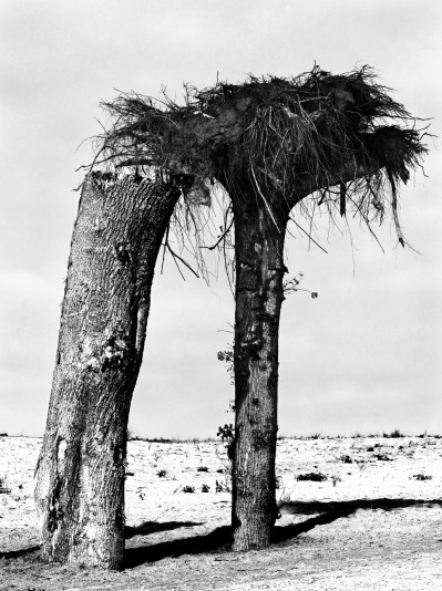 fotograf-ausb-ildung-judith-jaeger-40