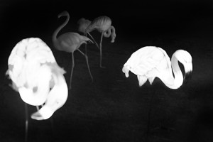 fotograf-ausb-ildung-judith-jaeger-34