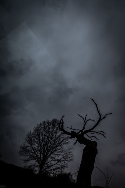 bjoern-woll-fotograf-ausbildung43