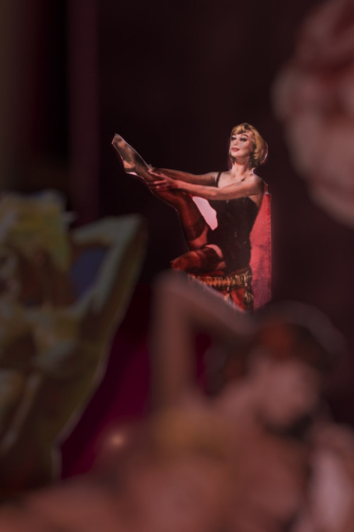 laura-westerhoff-fotos06