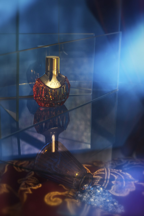 nina-gevorkian-fotograf-ausbildung10