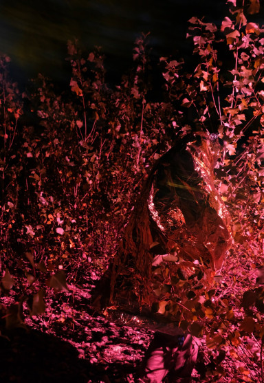 oliver-kuehnel-fotograf16