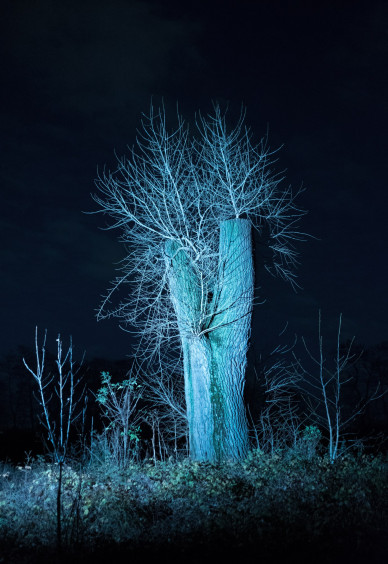 oliver-kuehnel-fotograf24