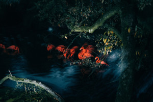 oliver-kuehnel-fotograf-vorschau02