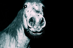 oliver-kuehnel-fotograf-vorschau01