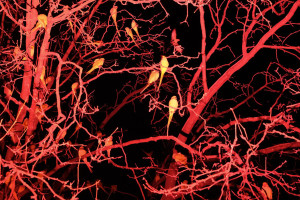 oliver-kuehnel-fotograf-vorschau06