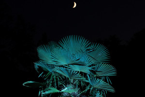 oliver-kuehnel-fotograf-vorschau04