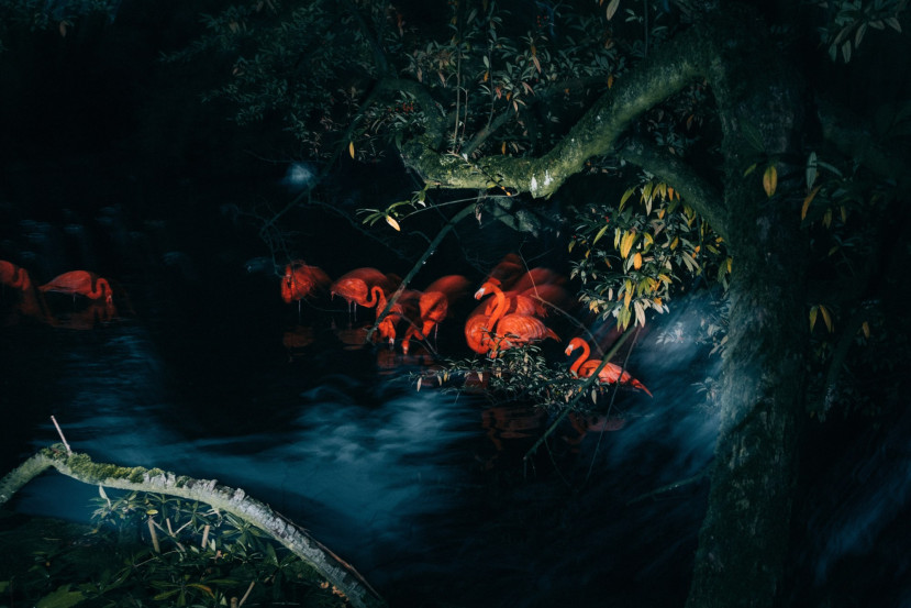 oliver-kuehnel-fotograf47