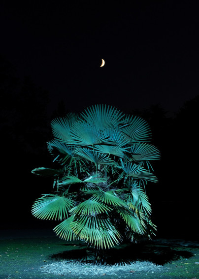 oliver-kuehnel-fotograf49