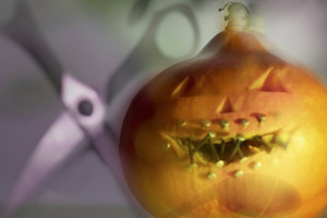 silvia-beutler-fotografin-erfahrungen09