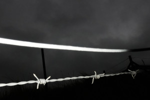 bo-10